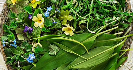 A Spring Cleanse for Skin and Body